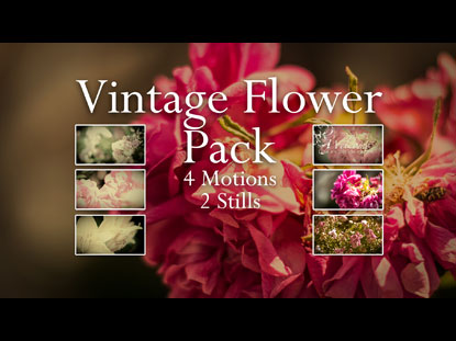 VINTAGE FLORAL PACK