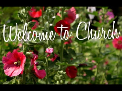 LITTLE BUG WELCOME CINEMAGRAPH