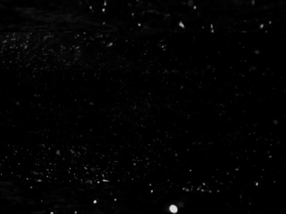 BLACK AND WHITE OCEAN STARS