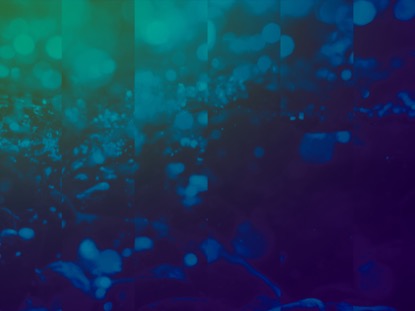 FRACTURED OCEAN