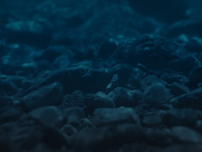 OCEAN FLOOR
