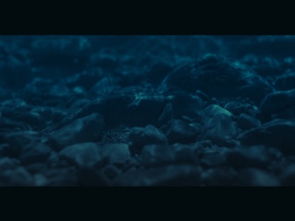 OCEAN FLOOR FRAME