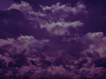 PURPLE TAPESTRY