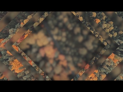 FALL 3