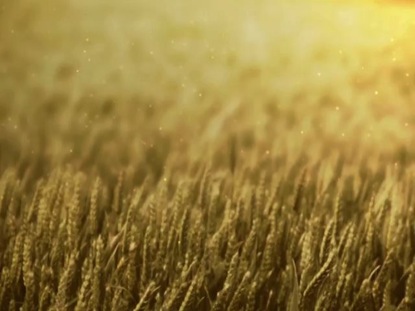 wheatfield christian dating site If you are looking for white christian singles you may find your match - here and now this free white christian dating site provides you with all those features which make searching and browsing as easy as you've always wished for. wheatfield christian dating site If you are looking for white christian singles you may find your match - here and now this free white christian dating site provides you with all those features which make searching and browsing as easy as you've always wished for.