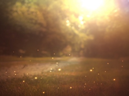FIREFLY 3