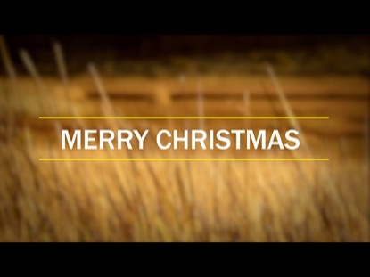 REEDS CHRISTMAS