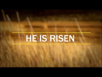REEDS RISEN