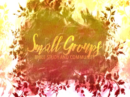 FALL FOLIAGE GROUPS MOTION