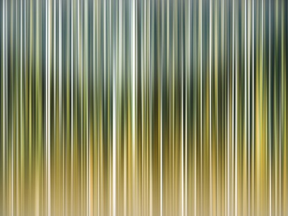 FALL LINES 3 MOTION