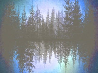 NATURES BEAUTY 8 MOTION