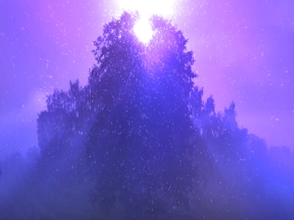 ONLY CHRIST PURPLE MOTION