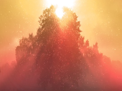 ONLY CHRIST RED MOTION