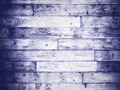PAINTED MEMORIAL BLUE 2 MOTION