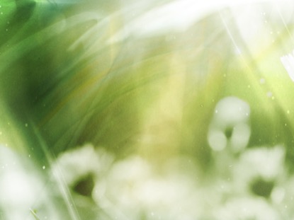 REVEALING NATURE 1 MOTION