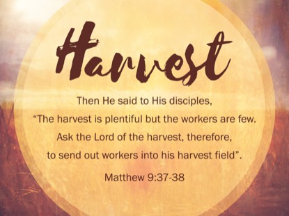 THE GREAT COMMISSION MATTHEW 9 MOTION