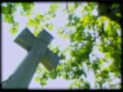 CROSS TREE