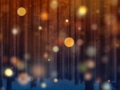 WINTER FOREST 1