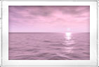 PINK MORNING