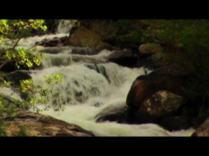 AUTUMN STREAM
