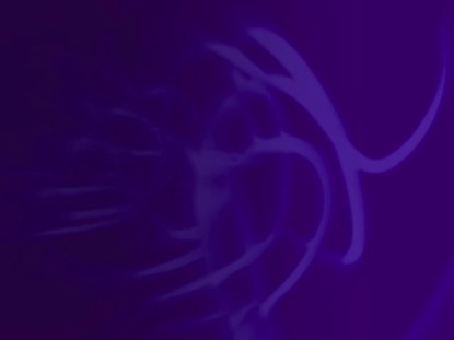 PURPLE LINES