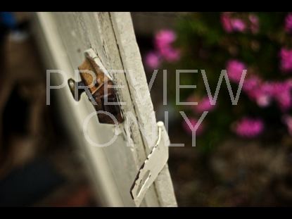 DOOR FLOWERS