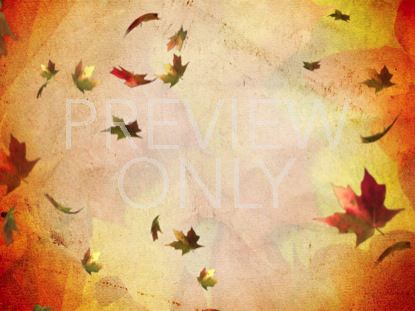 FALLING LEAF STILL 1