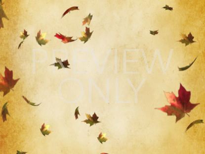 FALLING LEAF STILL 2