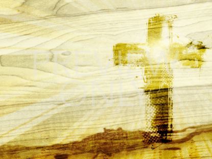 WOOD GRAIN WORSHIP STILL 2