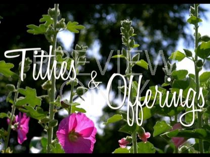 BLOOMS AND SKY OFFERING