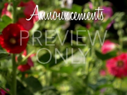 BLOSSOMS BREEZE ANNOUNCEMENTS