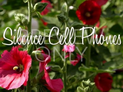 BUG IN BLOOM SILENCE PHONES