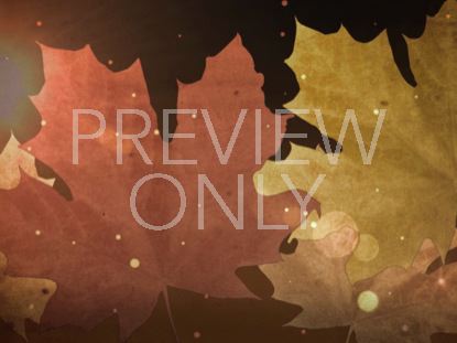 AUTUMN LEAVES 03