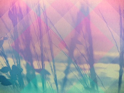 CREATION'S WONDER 03 STILL