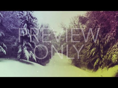 FOREST SNOW VINTAGE WORSHIP STILL
