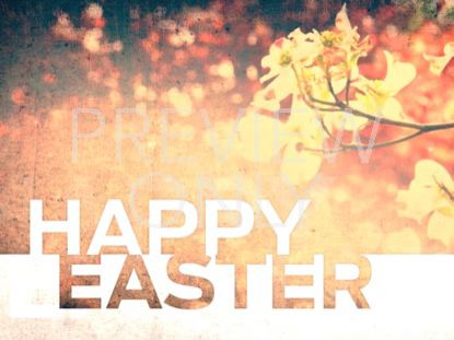 HAPPY EASTER STILL