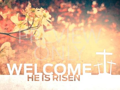 HE IS RISEN WELCOME STILL