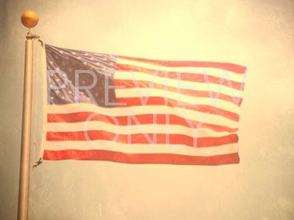 LONE FLAG STILL