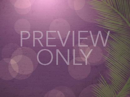 PALM SUNDAY BOKEH 02
