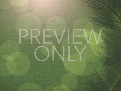 PALM SUNDAY BOKEH 03