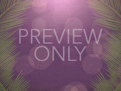 PALM SUNDAY BOKEH 04