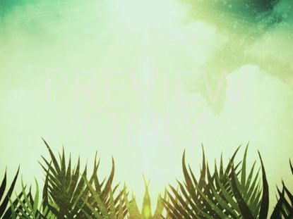 PALM SUNDAY STILL 02