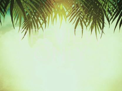PALM SUNDAY STILL 03
