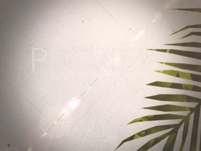 PALM SUNDAY WORSHIP 03 STILL
