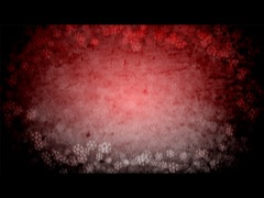 SNOW FLURRY RED