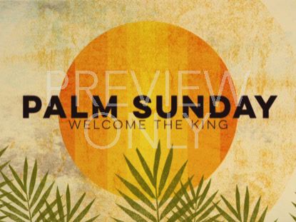 TEXTURED PALMS TITLE 02