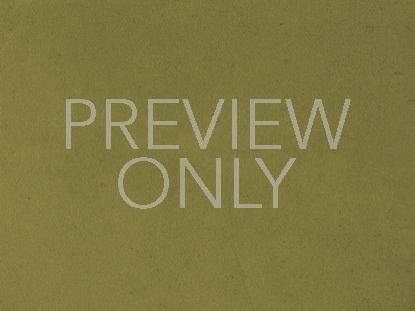 VINTAGE FALL GREEN STILL