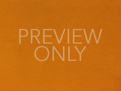VINTAGE FALL ORANGE STILL