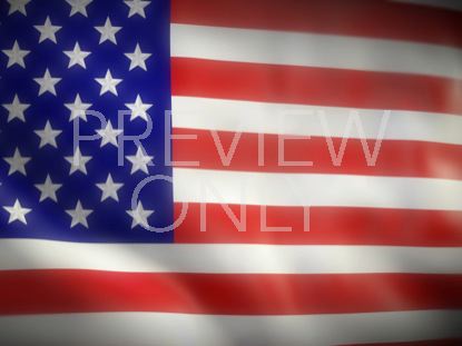 THE PEOPLES FLAG