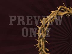 CROWN OF THORNS